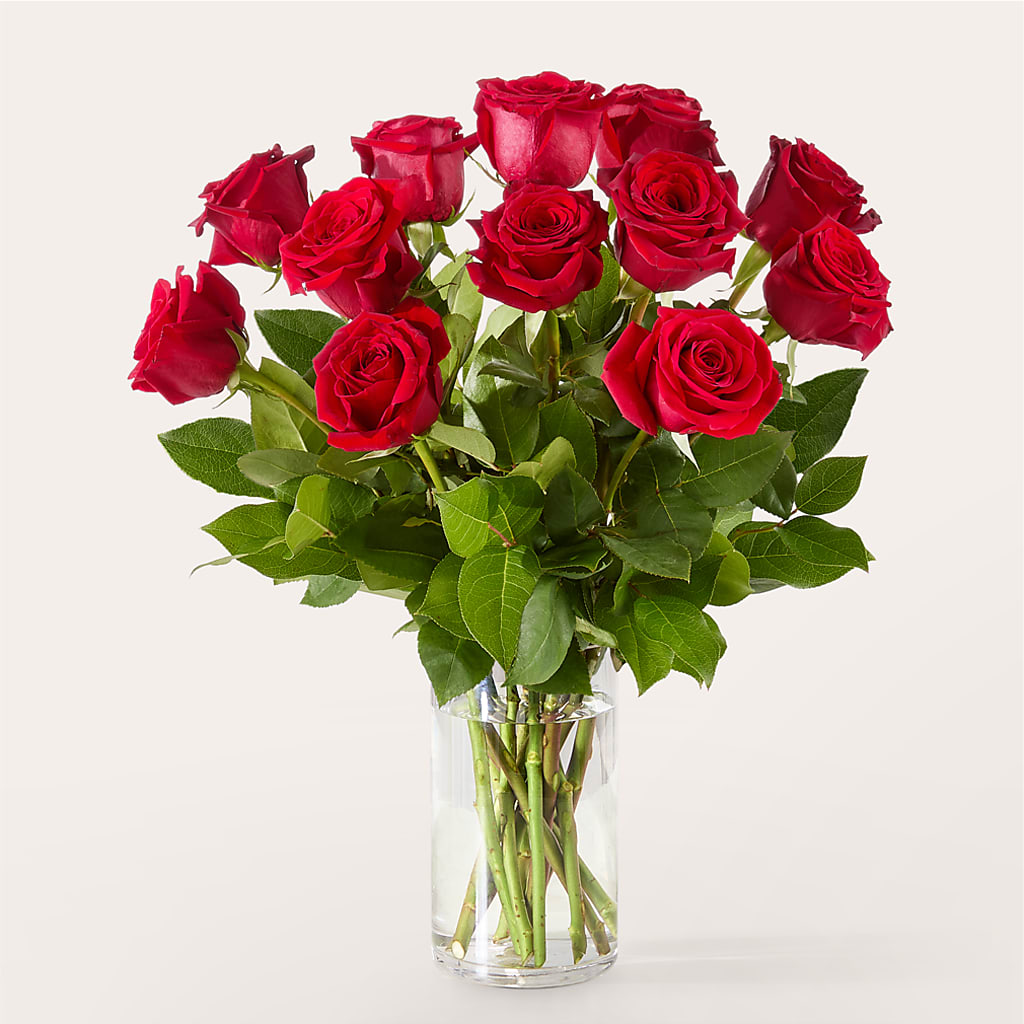 The One Red Rose Bouquet –  Talia Flowers, Ottawa ON