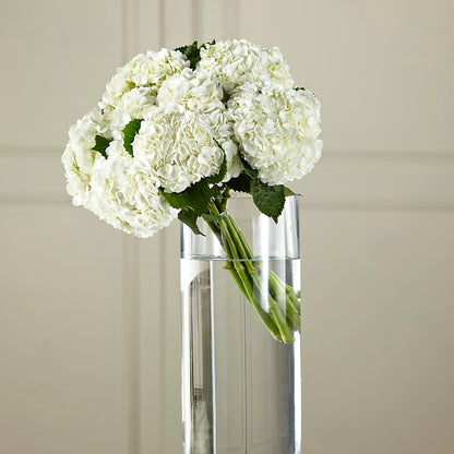 White Hydrangea Hand-Tied Bouquet –  Talia Flowers, Ottawa ON